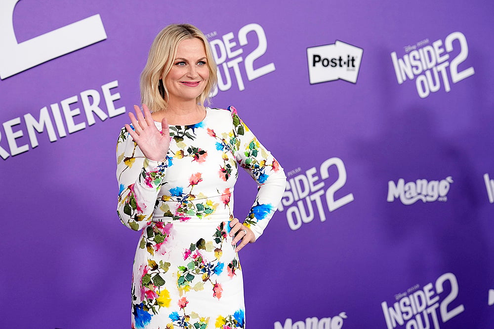 Amy Poehler